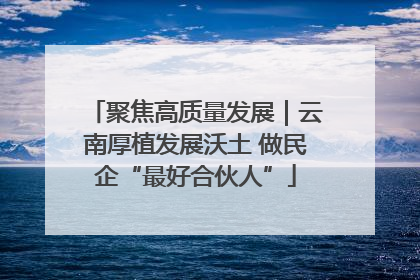 聚焦高质量发展｜云南厚植发展沃土 做民企“最好合伙人”