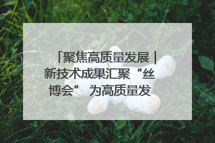 聚焦高质量发展｜新技术成果汇聚“丝博会” 为高质量发展注入新动能