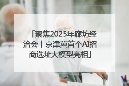 聚焦2025年廊坊经洽会丨京津冀首个AI招商选址大模型亮相