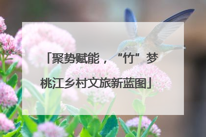 聚势赋能，“竹”梦桃江乡村文旅新蓝图
