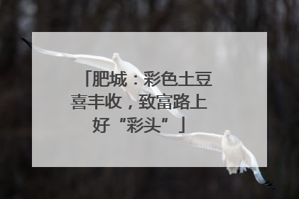 肥城：彩色土豆喜丰收，致富路上好“彩头”