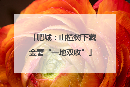 肥城：山楂树下藏金薯“一地双收”