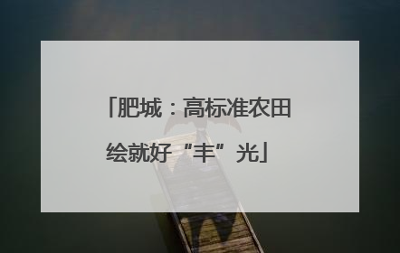 肥城：高标准农田绘就好“丰”光