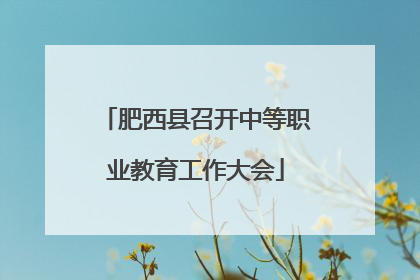 肥西县召开中等职业教育工作大会