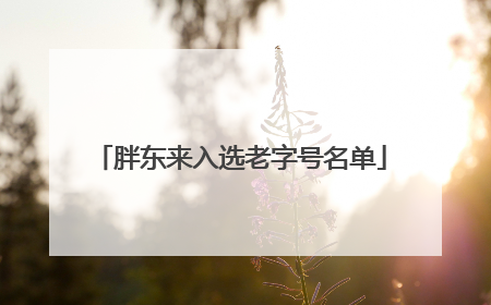 胖东来入选老字号名单