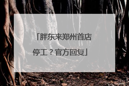 胖东来郑州首店停工？官方回复