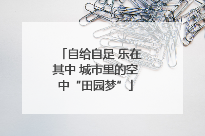 自给自足 乐在其中 城市里的空中“田园梦”