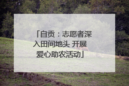 自贡：志愿者深入田间地头 开展爱心助农活动