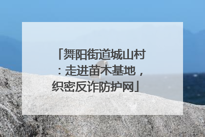 舞阳街道城山村：走进苗木基地，织密反诈防护网