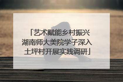 艺术赋能乡村振兴 湖南师大美院学子深入土坪村开展实践调研