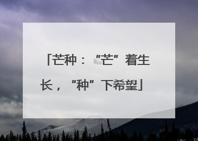 芒种：“芒”着生长，“种”下希望