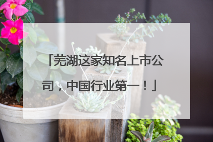 芜湖这家知名上市公司，中国行业第一！