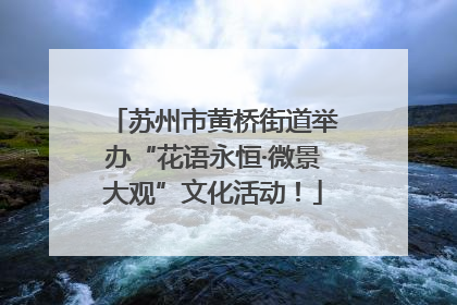 苏州市黄桥街道举办“花语永恒·微景大观”文化活动！