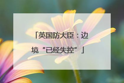 英国防大臣：边境“已经失控”