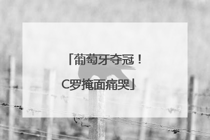 葡萄牙夺冠！C罗掩面痛哭