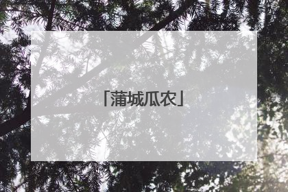 蒲城瓜农