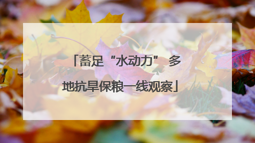蓄足“水动力” 多地抗旱保粮一线观察