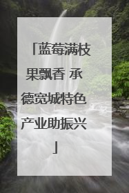 蓝莓满枝果飘香 承德宽城特色产业助振兴