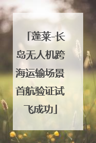 蓬莱-长岛无人机跨海运输场景首航验证试飞成功
