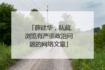 薛建华，私藏、浏览有严重政治问题的网络文章