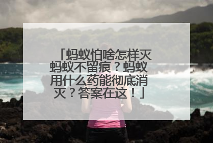 蚂蚁怕啥怎样灭蚂蚁不留痕？蚂蚁用什么药能彻底消灭？答案在这！