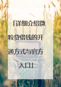 详细介绍微粒贷借钱的开通方式与官方入口
