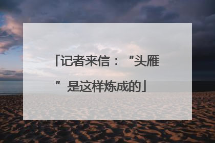 记者来信：“头雁”是这样炼成的