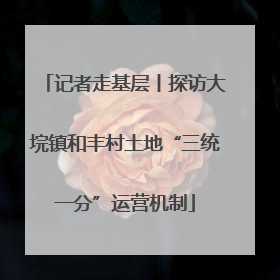 记者走基层丨探访大垸镇和丰村土地“三统一分”运营机制