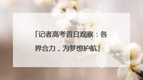 记者高考首日观察：各界合力，为梦想护航