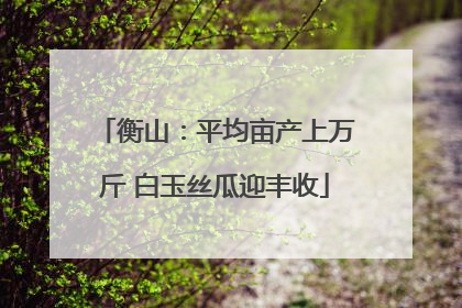衡山：平均亩产上万斤 白玉丝瓜迎丰收