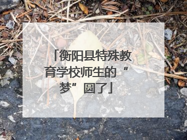 衡阳县特殊教育学校师生的“梦”圆了