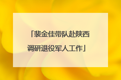 裴金佳带队赴陕西调研退役军人工作