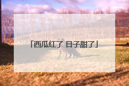 西瓜红了 日子甜了