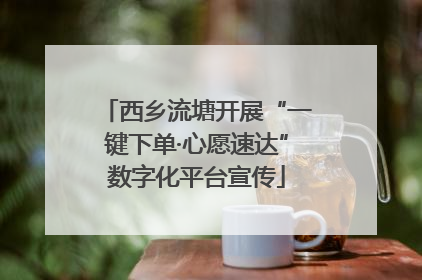 西乡流塘开展“一键下单·心愿速达”数字化平台宣传