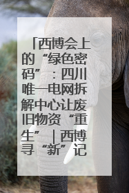 西博会上的“绿色密码”：四川唯一电网拆解中心让废旧物资“重生”｜西博寻“新”记