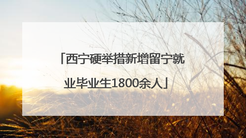 西宁硬举措新增留宁就业毕业生1800余人