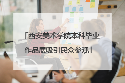 西安美术学院本科毕业作品展吸引民众参观
