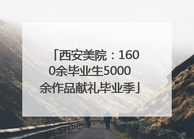 西安美院：1600余毕业生5000余作品献礼毕业季