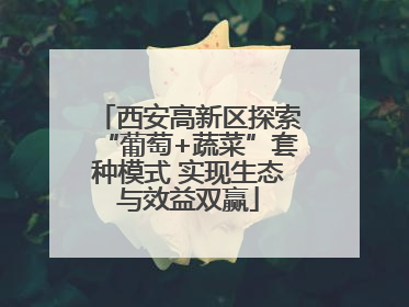 西安高新区探索“葡萄+蔬菜”套种模式 实现生态与效益双赢