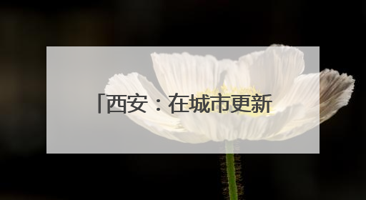 西安：在城市更新中守护好文化遗产