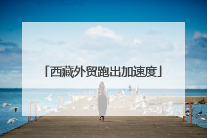 西藏外贸跑出加速度