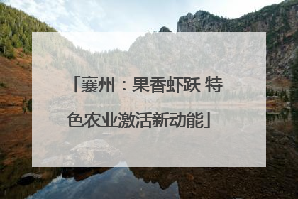 襄州：果香虾跃 特色农业激活新动能