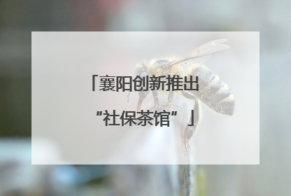 襄阳创新推出“社保茶馆”