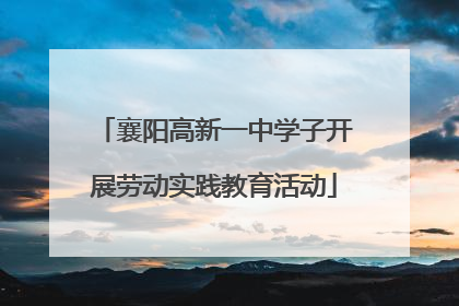 襄阳高新一中学子开展劳动实践教育活动