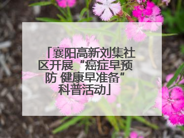 襄阳高新刘集社区开展“癌症早预防 健康早准备”科普活动