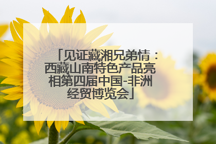 见证藏湘兄弟情：西藏山南特色产品亮相第四届中国-非洲经贸博览会
