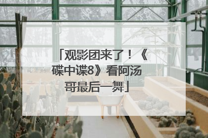 观影团来了！《碟中谍8》看阿汤哥最后一舞