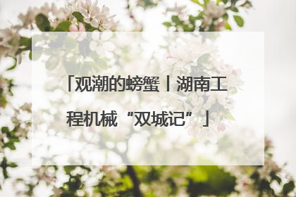 观潮的螃蟹丨湖南工程机械“双城记”