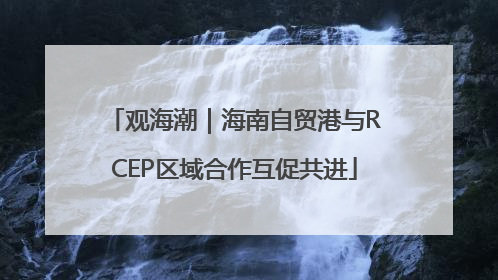 观海潮｜海南自贸港与RCEP区域合作互促共进