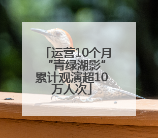 运营10个月 “青绿湖影”累计观演超10万人次